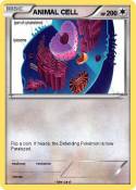 ANIMAL CELL