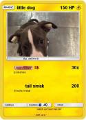 little dog