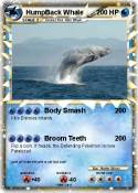 HumpBack Whale