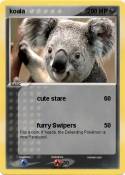 koala