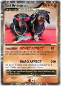 Cool fly dogs