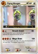 Flying Weegen