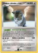 Chaton céleste