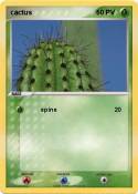 cactus