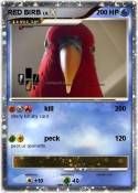 RED BIRB