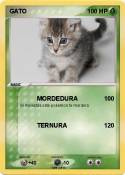 GATO