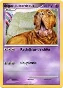 dogue du bordea