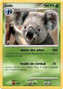 koala