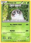 Grumpy Cat