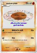 andrew plate