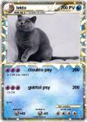 lekto