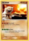 Cat attaak