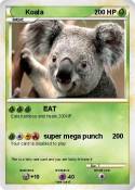 Koala