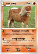 Petit poney