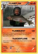FLAMEFLAM