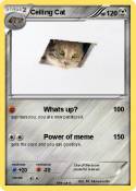 Ceiling Cat