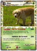 filou