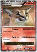 Floppa