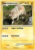 loup-shetland