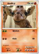 Giraffe jr