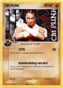 CM PUNK