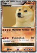 Doge