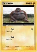 Fat cheetah
