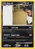 cool dog