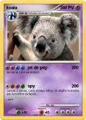 koala