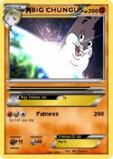 BIG CHUNGUS