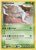 remi la tortue