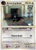 Brown Dog Beast