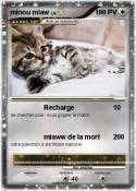 minou miaw