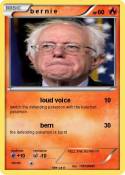 b e r n i e