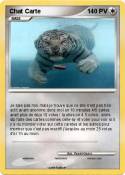 Chat Carte