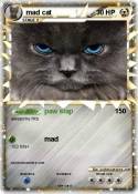 mad cat