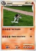 renard