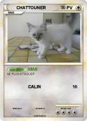 CHATTOUNER