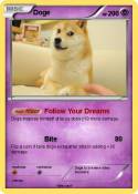 Doge