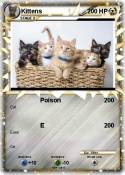 Kittens