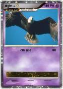 aigle