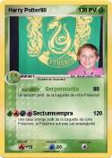 Harry Potter80