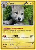Puppy