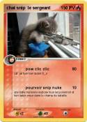 chat snip le