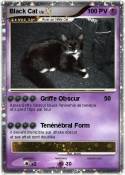 Black Cat
