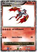 fire dragon