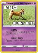haters gonna