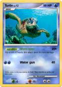 Turtle