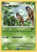 Monkey