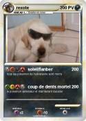 rexote